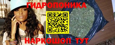 ПСИЛОЦИБИНОВЫЕ ГРИБЫ Баксан