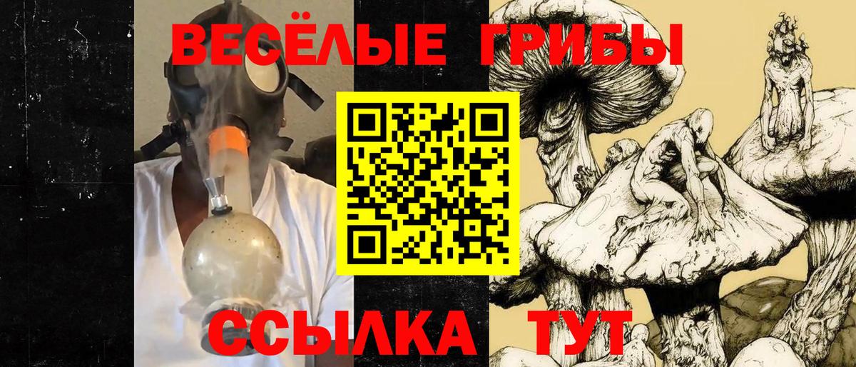 Галлюциногенные грибы Psilocybine cubensis  Вход с VPN  купить  цена  Псилоцибиновые грибы Psilocybine cubensis  Ачхой-Мартан 